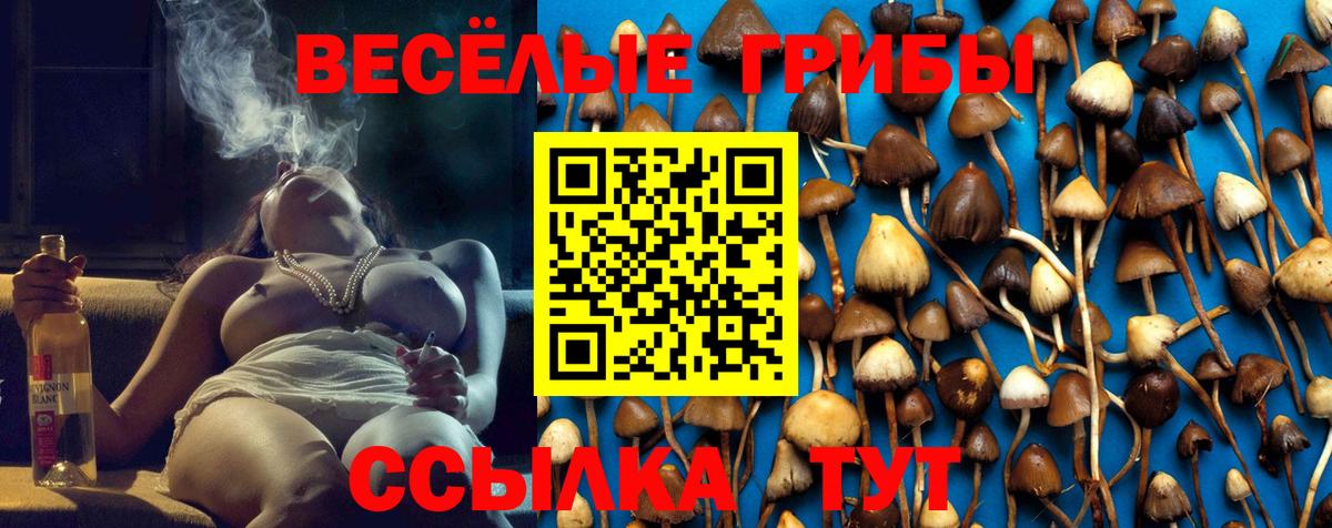 Галлюциногенные грибы Magic Shrooms  Вход с VPN  Шарыпово 