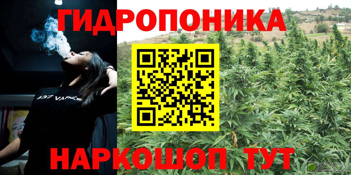Бошки марихуана сатива Шарыпово
